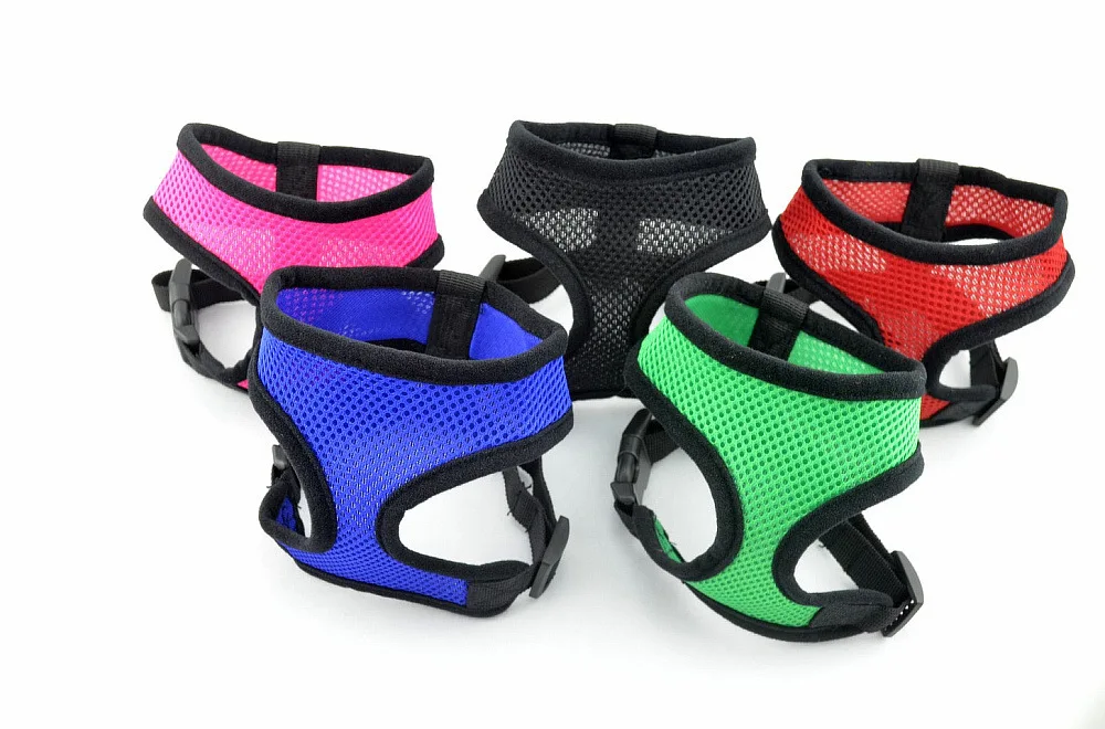 3041874397_1837168188