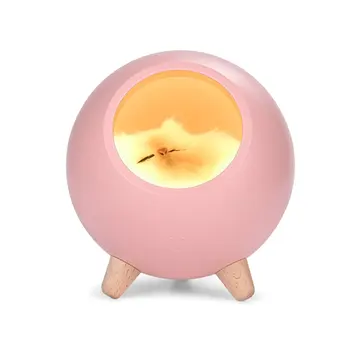 

1200mAh Touch Adjustable LED Night Table Light USB Rechargeable Small Pet House Atmosphere Lamp For Baby Lover Gift New