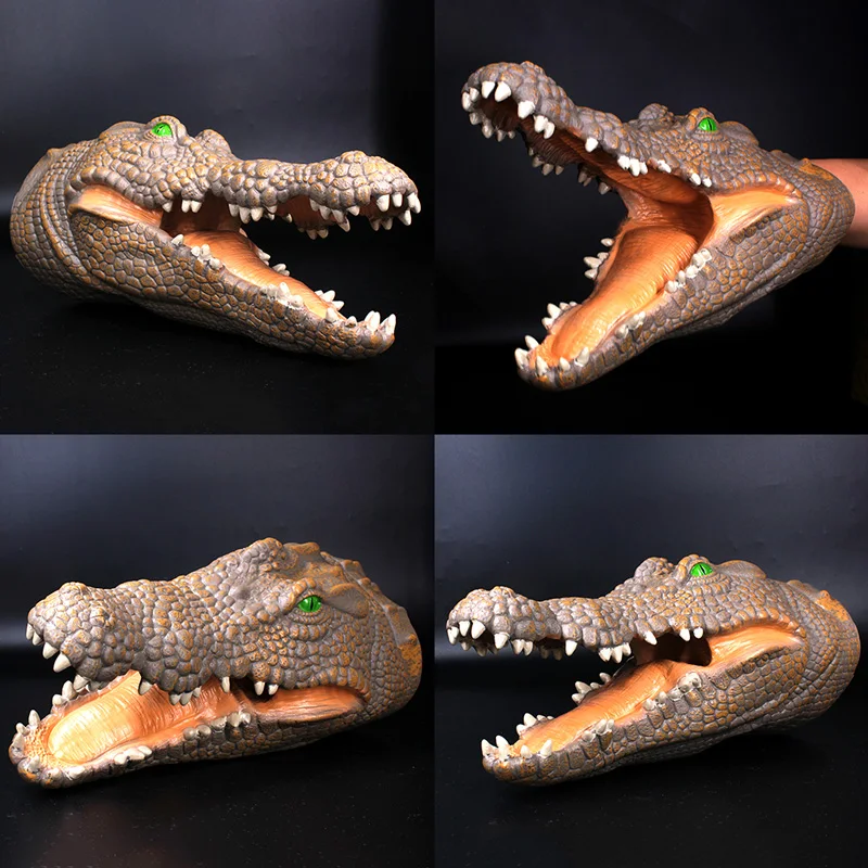 Crocodile-6