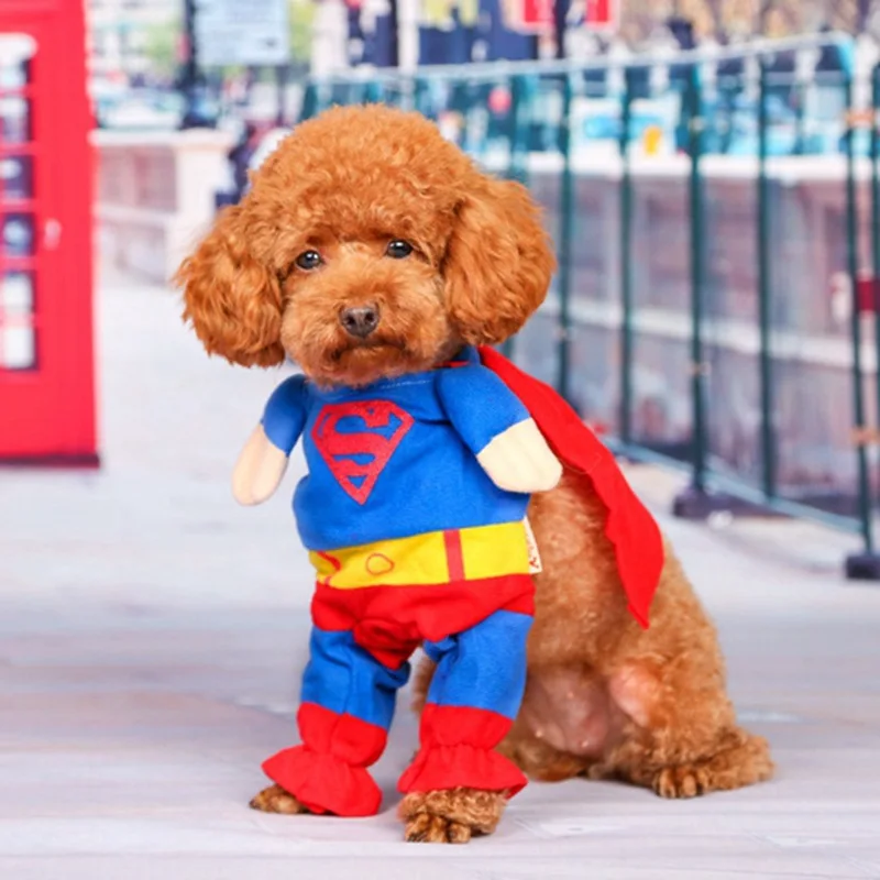 Одежда для домашних животных с Суперменом, защита, накидка для домашних животных с Суперменом, костюм для Хэллоуина и Рождества