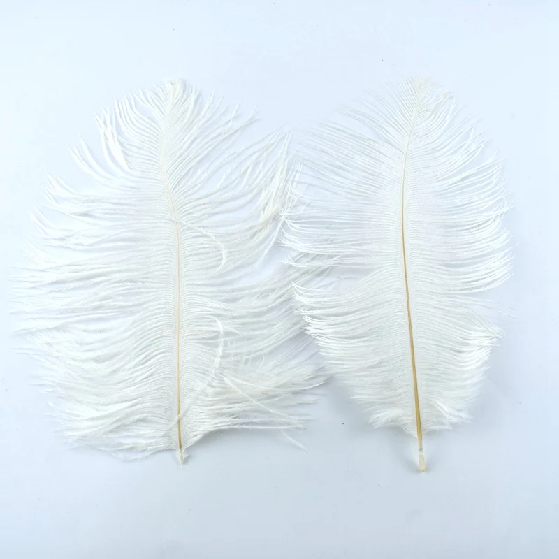 Natural ostrich Pheasant feathers for crafts DIY peacock feathers for jewelry making Home party decoration plumas ostrich feathers pheasant feathers natural feathers craft feathers peacock feather decoration
