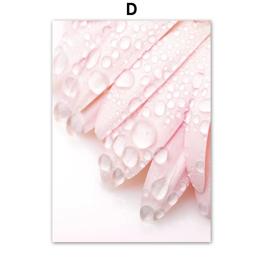 Pink-Flower-Phalaenopsis-Peony-Dahlia-Quotes-Wall-Art-Canvas-Painting-Nordic-Posters-And-Prints-Wall-Pictures (6)