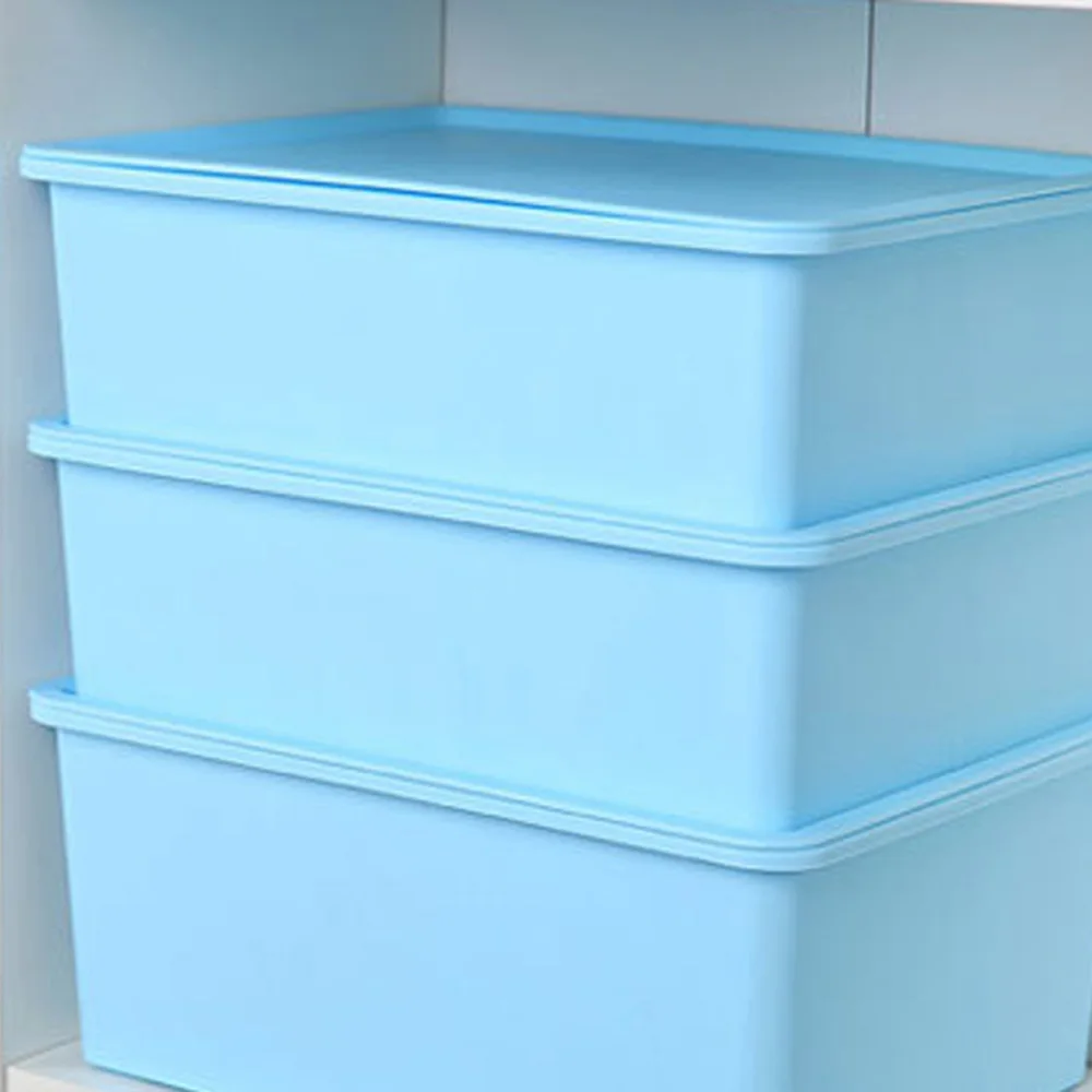 Drawer Type Storage Box Thick Plastic Bra Underwear Socks Organizer With Lid PP Wardrobes Drawers Multi-purpose