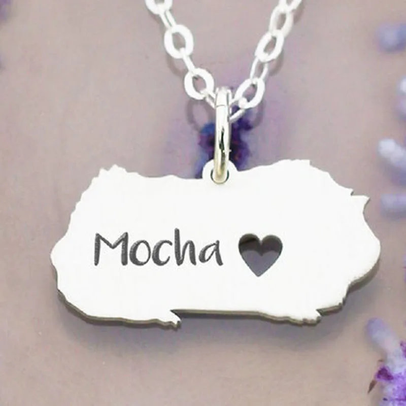 

Guinea Pig Necklace Can Custom Made Name Necklace Stainless steel Jewelry for Men and Women Drop Shipping YP7559