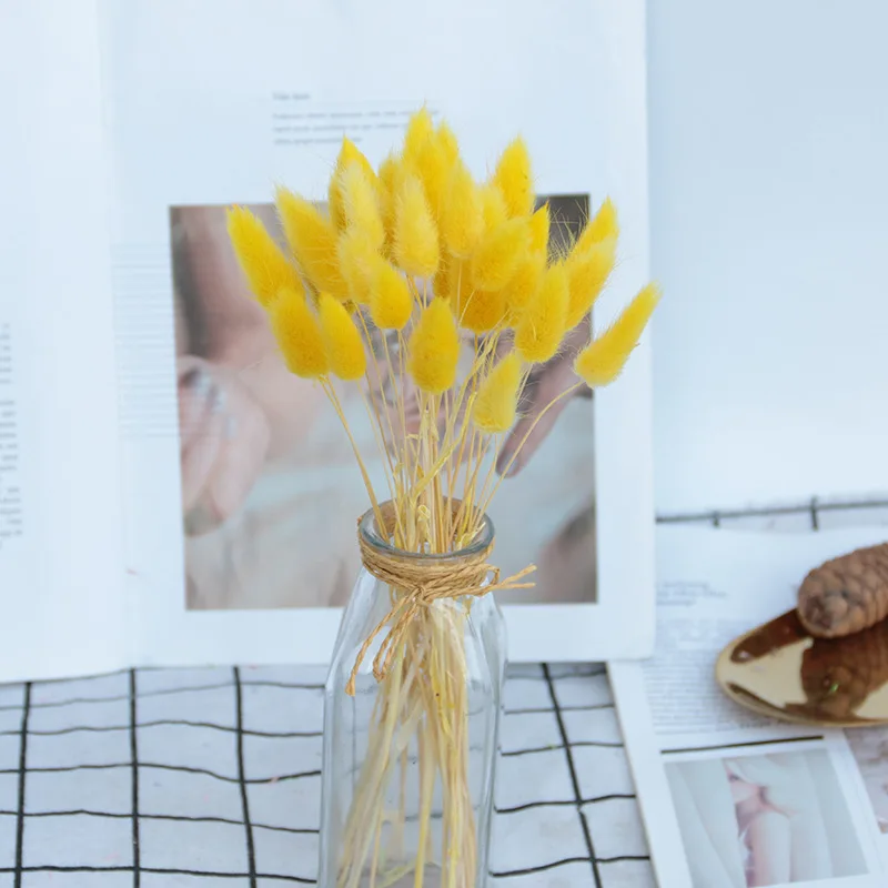 11148331422_1442471722