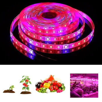 

Usb led Plant Light Belt 5V Succulent Full Spectrum Growth Light 2835 Lamp Beads Indoor Tent Seedling Plant Lamp flower light