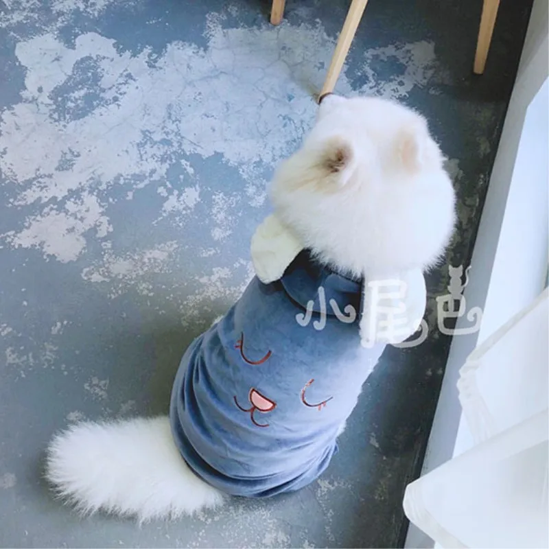 Labrador clothes (4)