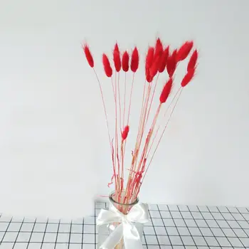 

30pcs/set Natural Dried Flowers Rabbit Tail Grass Bunch Colorful Real Lagurus Ovatus For Wedding Decoration Grass Props B3W0