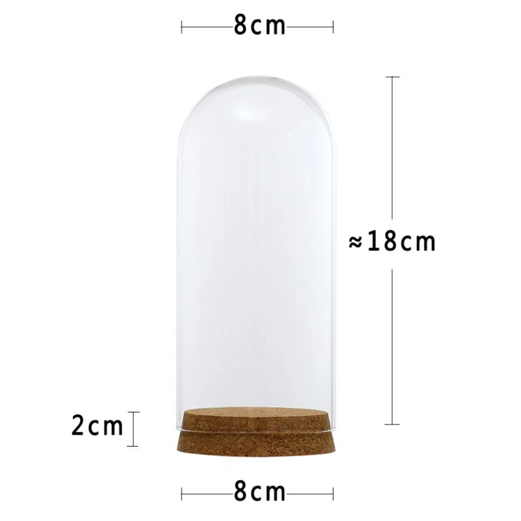 Clear Glass Display Dome Cover Cloche Bell Jar Succulent Terrariums with Wood Cork for Home Office Table Decor DIY
