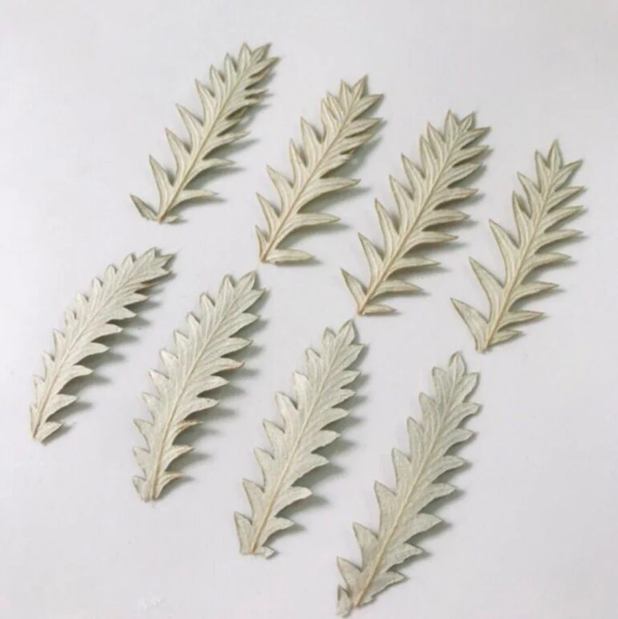 60pcs Pressed Dried Natural Ranunculus Japonicus Thunb Leaves Plant Herbarium Jewelry Postcard Invitation Card Phone Case DIY | Дом и сад