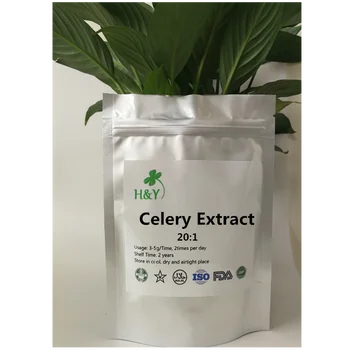 

150-1000g Free Shipping High Quality Celery Extract Celery Powder 20:1 In Bulk