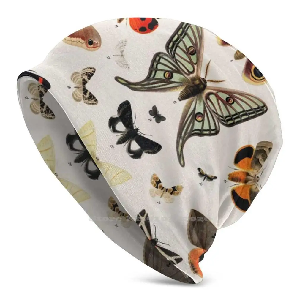 Moth Magic Ciclismo Sci Outdoor Cap Unisex Falene Farfalle Vintage Moth Luna Moth Papillon Magico Natura Naturale Vintage