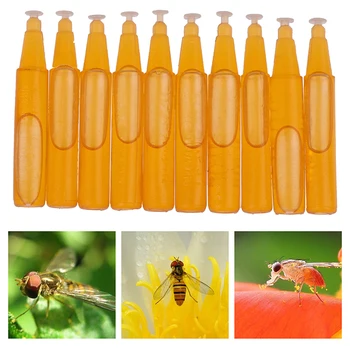 

10Pcs/Bag Fruit Fly Attractant 2ml Trap Bait Beekeeping Beehive Tool Killer Swarm Trapping Tool Liquid