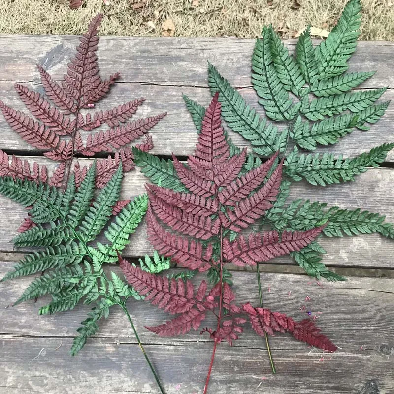 QQ图片20200210203235