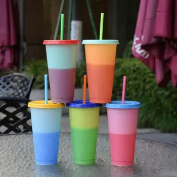 

Straw Cup Reusable Plastic Temperature Color Changing Cold Cup Summer Drink Water Mug Bottle Wine Tumbler
