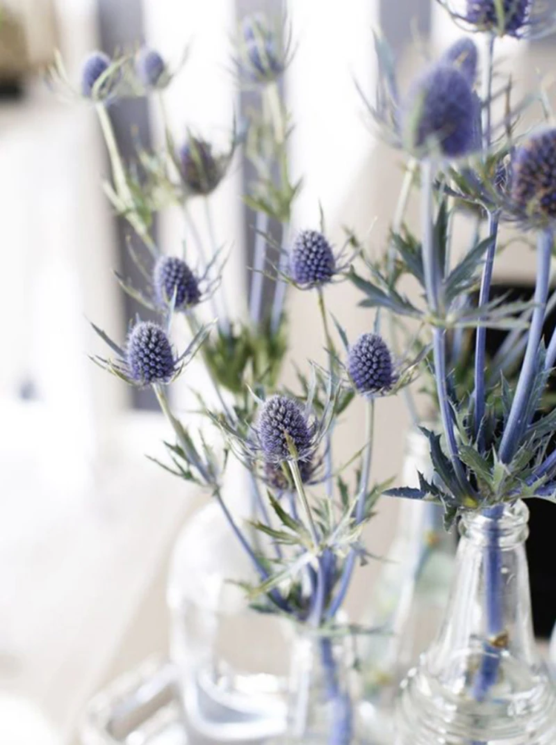 H8de1c3a547094690aa25c1a5620ee727A