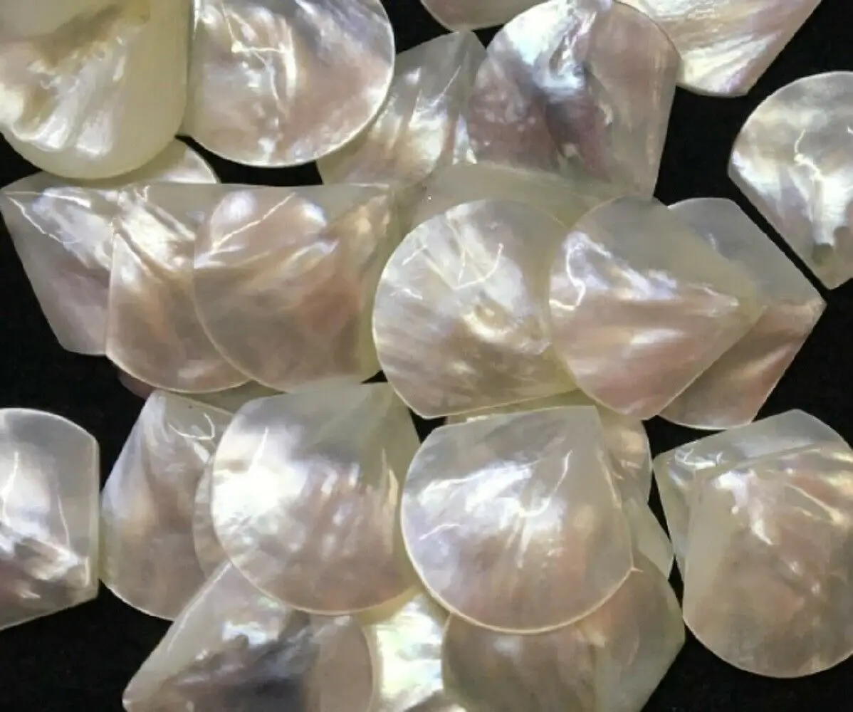 

30 PCS 20mm Fan Natural White Sea Shell Top Hole Mother of Pearl