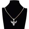 Men Hip Hop Fashion Full Rhinestone Bull Head Pendant Necklace Sparkling Ice Out Stainless Steel Gold Necklace ► Photo 2/6