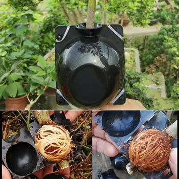 

1-5pcs Plant Rooting Ball Grafting Rooting Growing Box Breeding Case Plant Rooting Device High Pressure Box for Garden new
