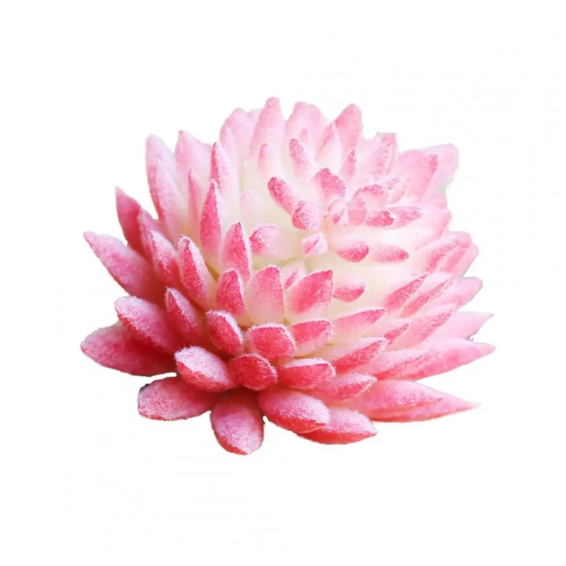 Faux Succulents Mini Fake Succulent Plants Potted Artificial for Home Coffee Table Decoration（Pink）1PC | Дом и сад