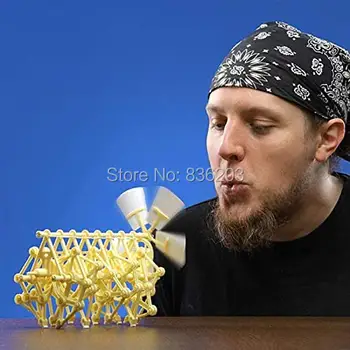 

DIY Wind-Powered Beast Bionic Robot Science Experiments Model Children Assembly Toy for Kids educational model Mechanical Beast