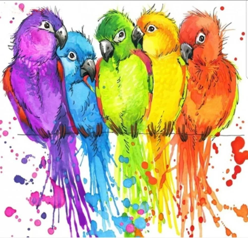 103537673839604 40x50_看图王