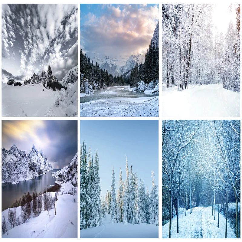 

ZHISUXI Vinyl Custom Photography Backdrops Prop Snow scene Photography Background 2021112XJ-01