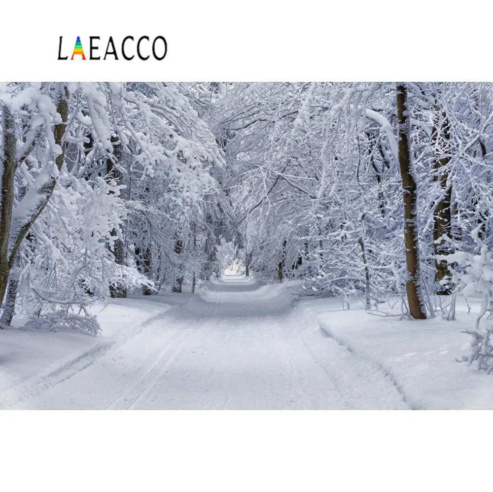 Laeacco Фото фоны зима снег дерево лес путь портрет природные живописные фотографии