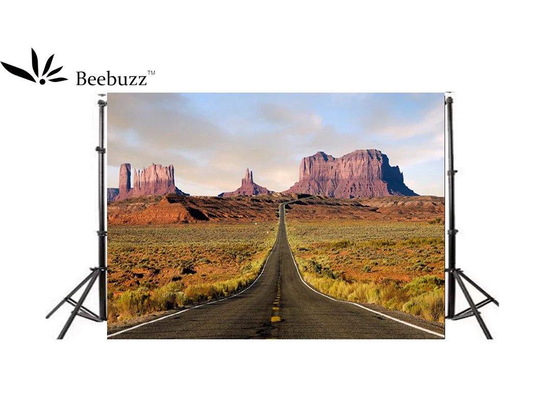 

Beebuzz photo backdrop highway mountains decorate the background