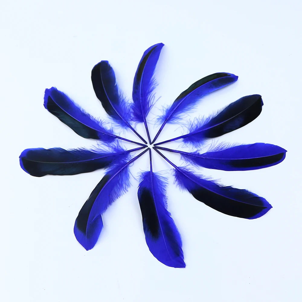 8 blue duck feather 1