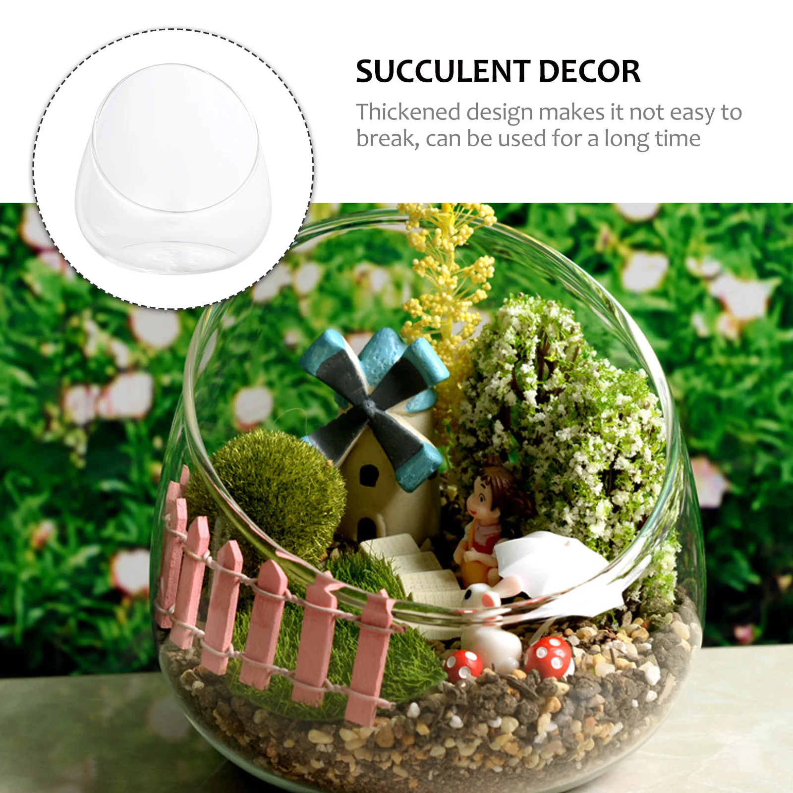 1PC Micro Landscape Ecological Bottle Lifelike Succulent Ecological Bottle  Ornament Adornment Glass Bottles (Transparent) - AliExpress Home & Garden
