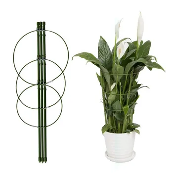 

Durable Climbing Vine Plant Support Rack 45cm/60cm Plastic Coated Iron Plant Support Frame Garden Balcony Plant Flower Trellis M