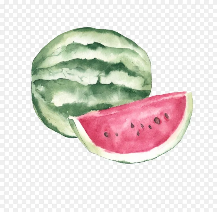 水彩画水果海报插图 西瓜png图片素材免费下载 图片编号 Png素材网 水彩画水果海报插图 西瓜png图片素材免费下载 图片编号 Png素材网