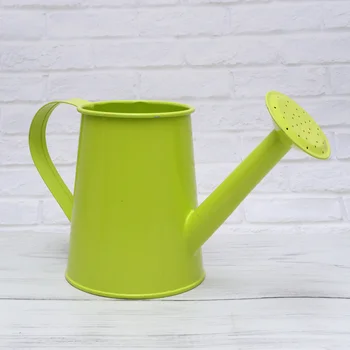 

1pc Iron Watering Can Household Gardening Watering Can Long Spout Watering Pot Sprinkled Kettle for Plants Watering (Light Green