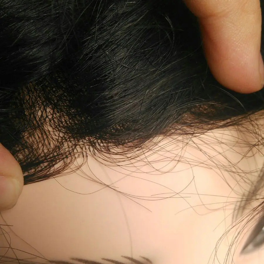 Hstonir 6 шт./партия aplique de Cabelo humano bisone Hombre Капелли umani Uomo Cravatta cuoio Для мужчин