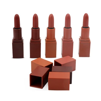 

5 Pcs Lipstick Matte Long Lasting Portable Makeup Cosmetic for Women Lady LDO99