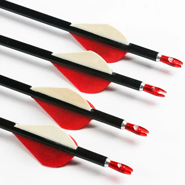 12pcs-Archery-Pure-Carbon-Arrows-ID6-2mm-Spine500-with-Pin-Nock-Target-Point-Vane-Complete-Arrows.jpg_640x640