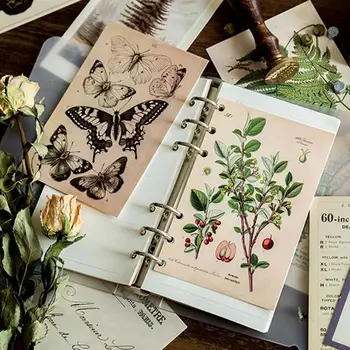 

Ancient Forest Specimen Postcard Creative Stationery 30pcs/Box Greeting Card Paper Greeting Gift Postcards Vintage Retro Style