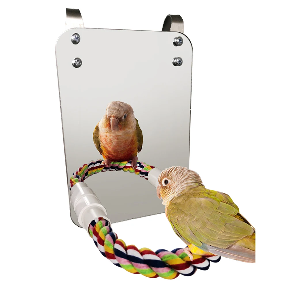 bird swing with mirror