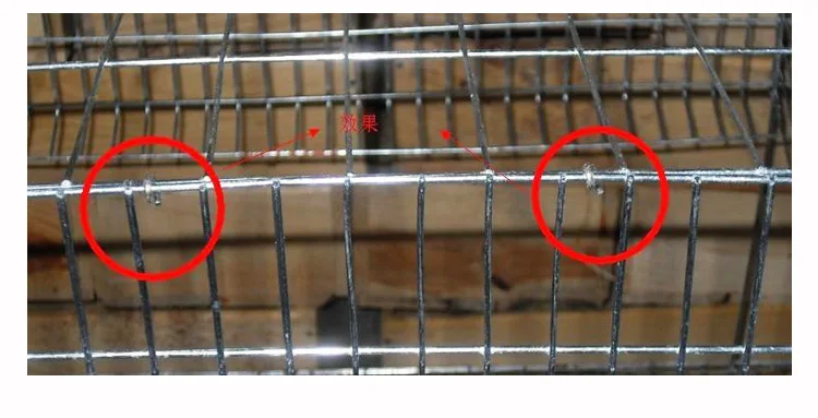 9164772137_946258997