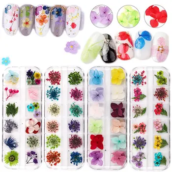 

CHNRMJL 12Girds/set Dried Nail Flower Decorations 3D Natural Dry Beauty Floral Flowers Leaf UV Gel Polish Nails Art Accessories