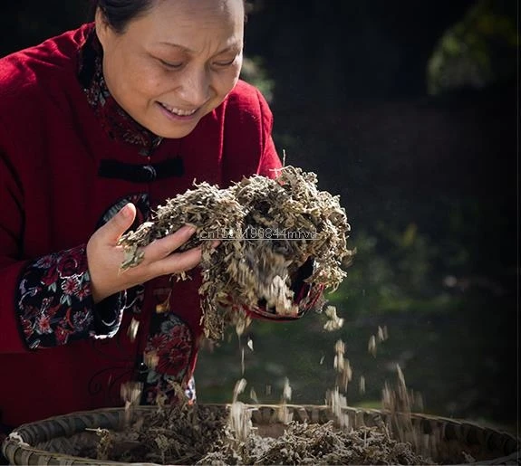 36020190310165858213