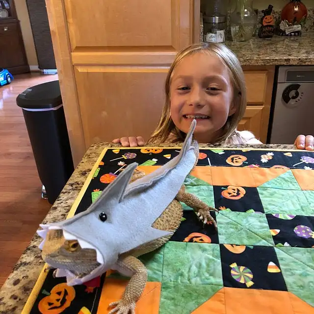 Shark Outfit for Bearded Dragon and Small Reptiles - Lizard, Gecko, and More image 5