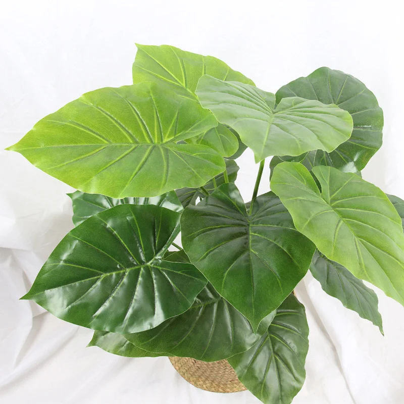 4422510655_1036952288