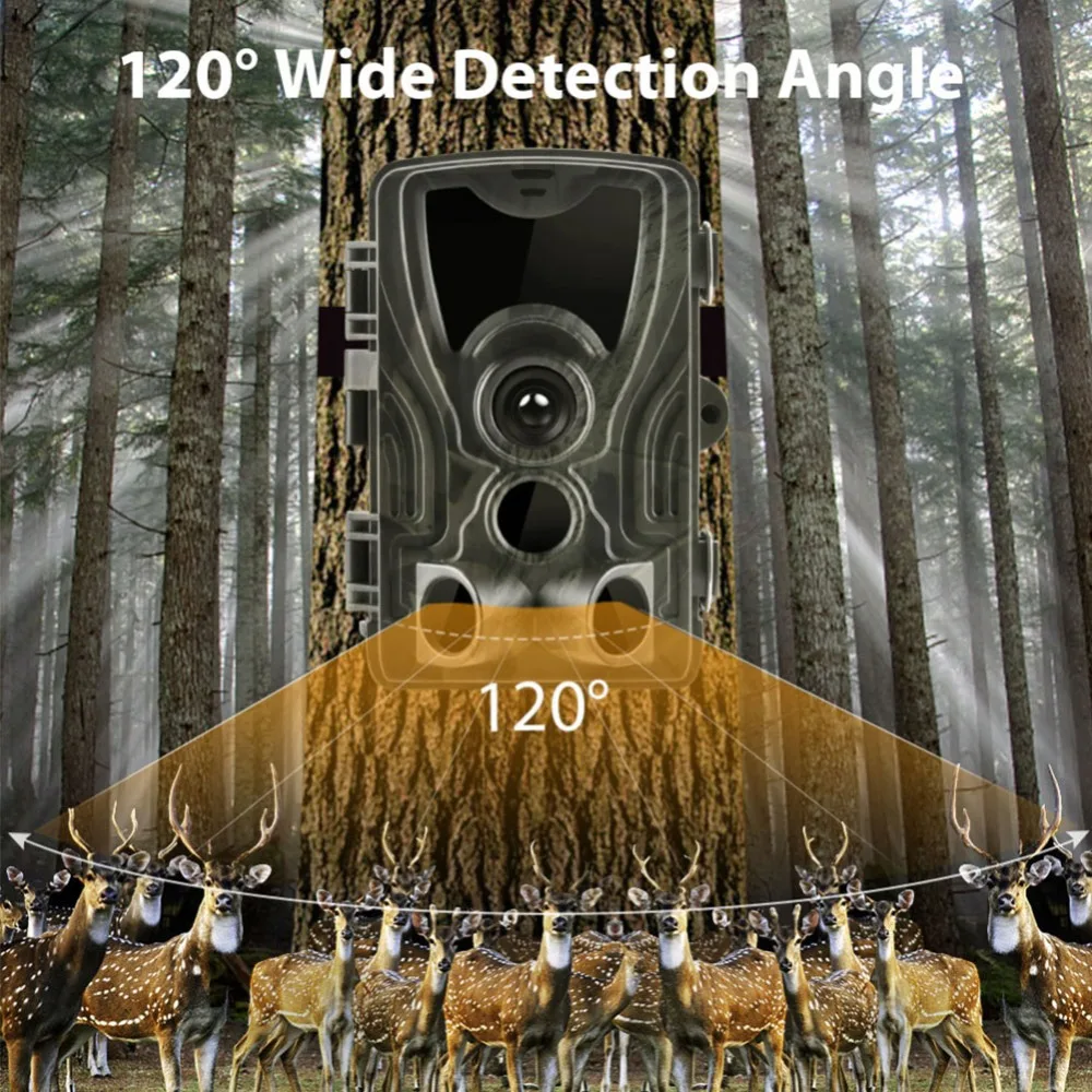 307503_no-logo_307503-3-02-c