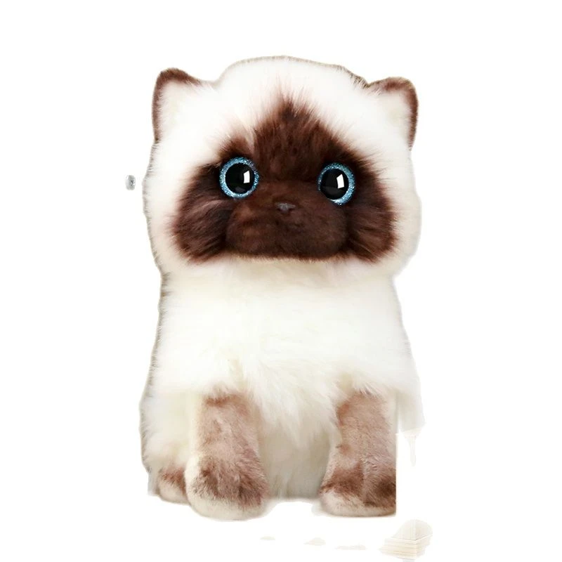 Peluche Chat Siamois 26cm Jouet De Simulation Paillettes Bleues Yeux Poupees Visage Marron Et Blanc Decoration De Maison Cadeau Mignon Pour Bebe Aliexpress