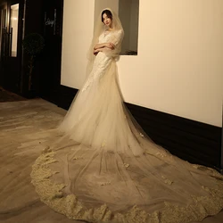 Real Photo Champagne Wedding Veils 3 Meters Two Layers Long Cathedral Length Lace Appliqued Tulle Bridal Veil With Combs 2020