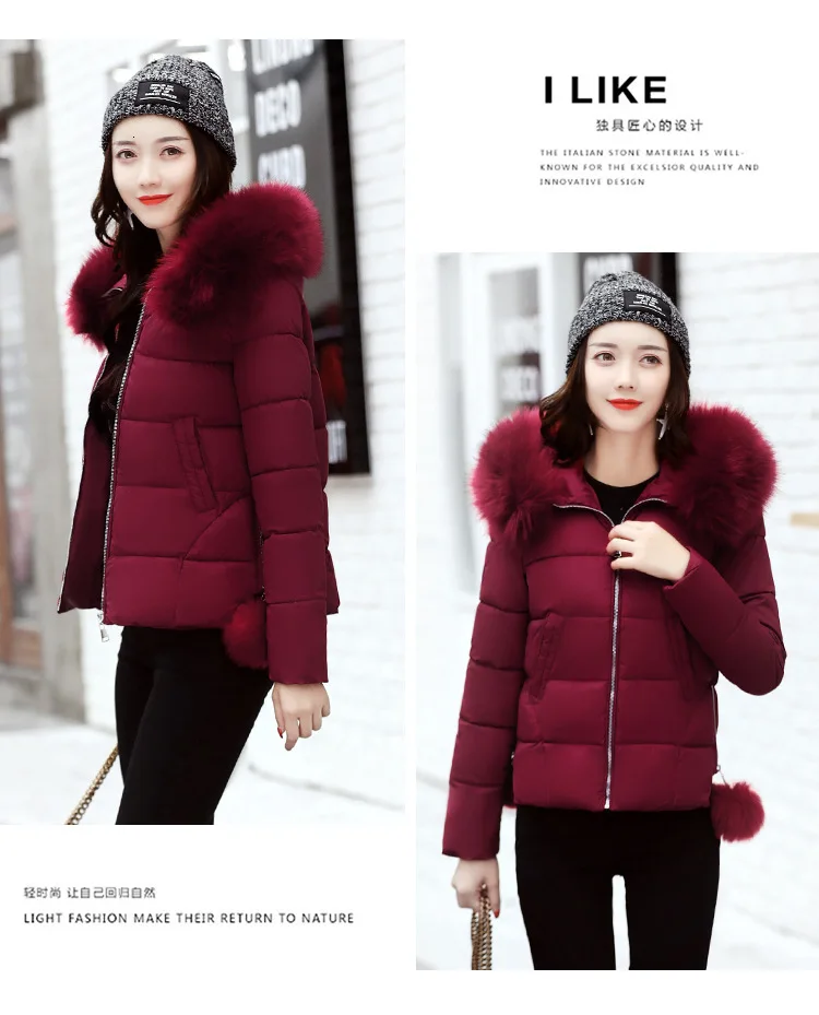 8959083250_1006637240