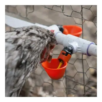

20PCS Automatic Chicken Quail Pigeon Drinker Drinking Water Poultry Drinking Water Bowl Farm Farming Equipment
