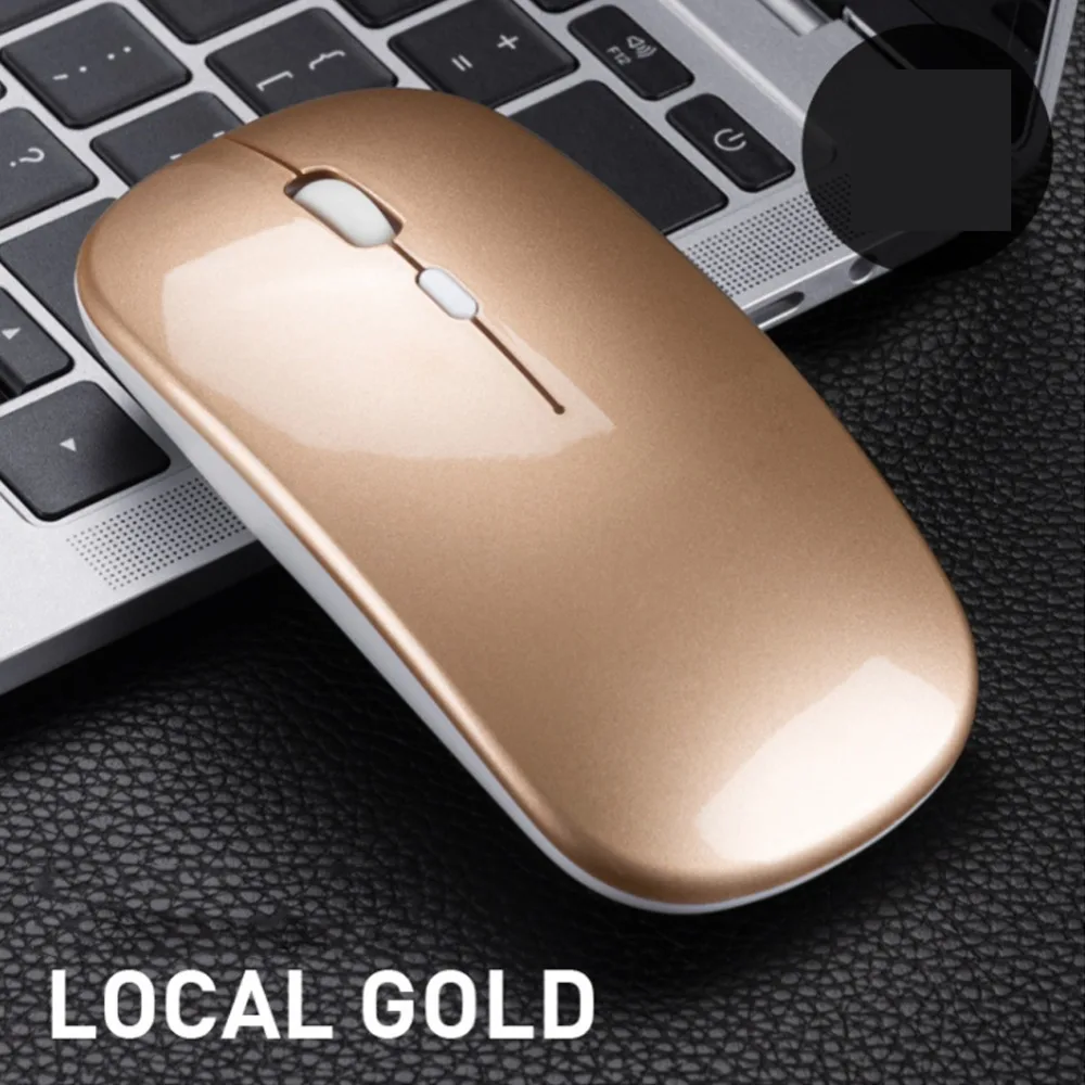 311845_no-logo_311845-3-12-c